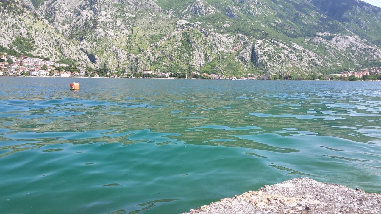Apartment Radovic Kotor Extérieur photo
