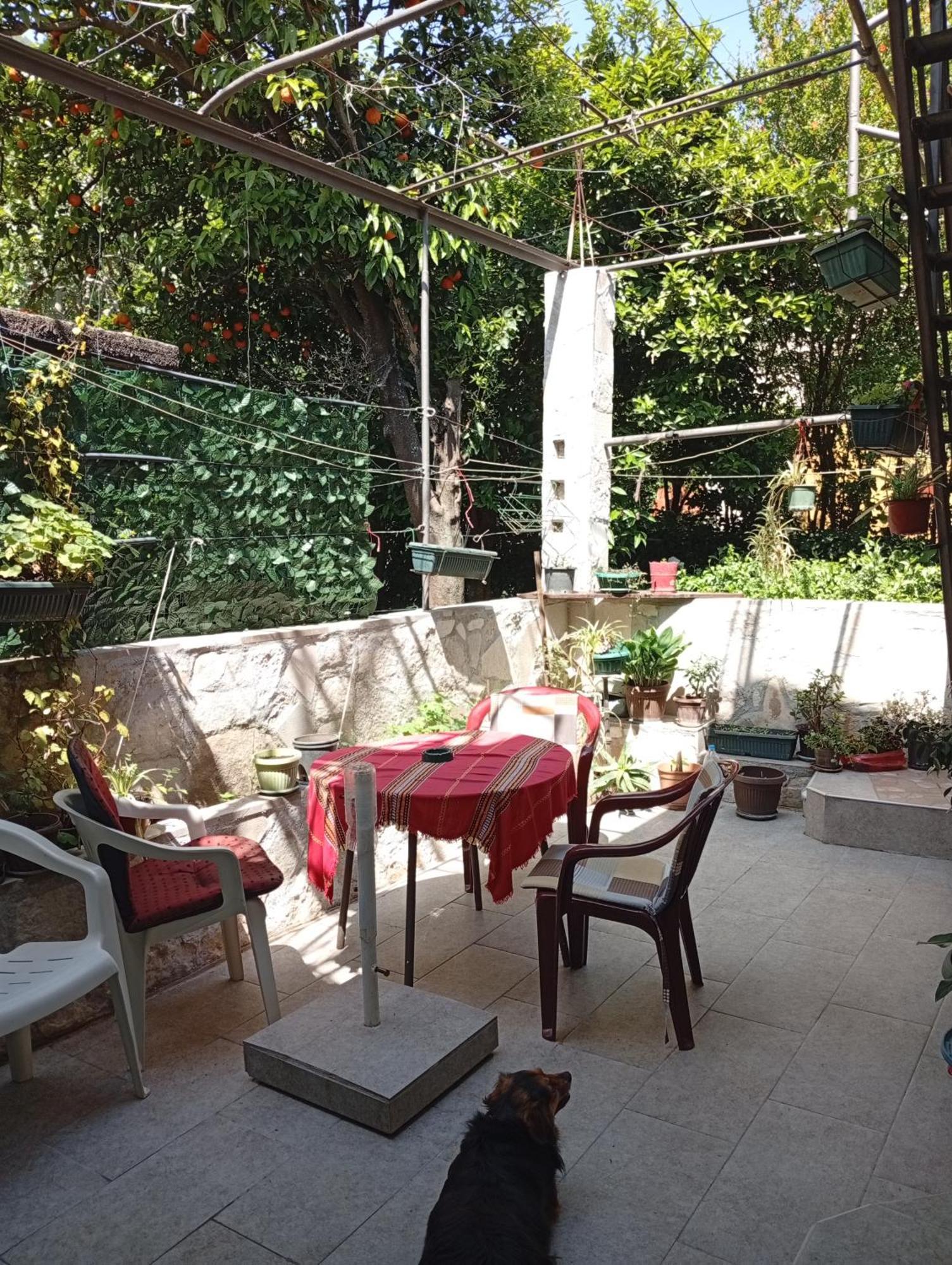 Apartment Radovic Kotor Extérieur photo